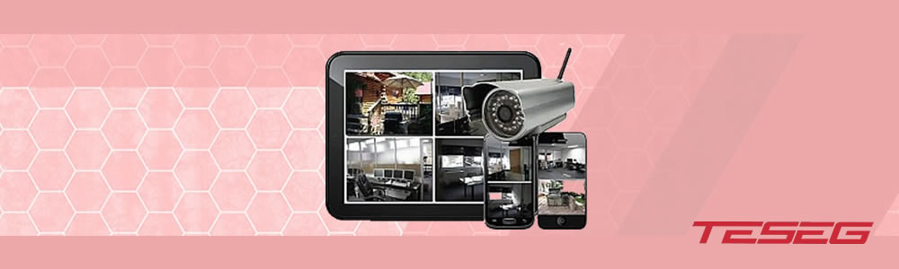 teseg electronica videovigilancia